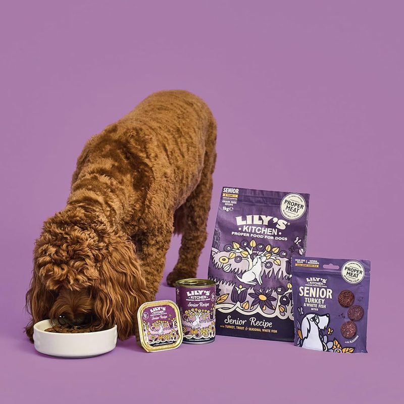 Lily's Kitchen Senior Recipe Wet Food for Older Dogs